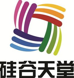 優(yōu)化投資管理，精準(zhǔn)服務(wù)實(shí)體經(jīng)濟(jì)，加快轉(zhuǎn)型升級(jí)步伐